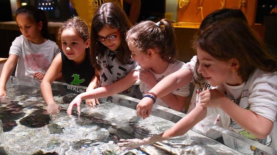Un grupo de niñas juega en el Aquarium Finisterrae