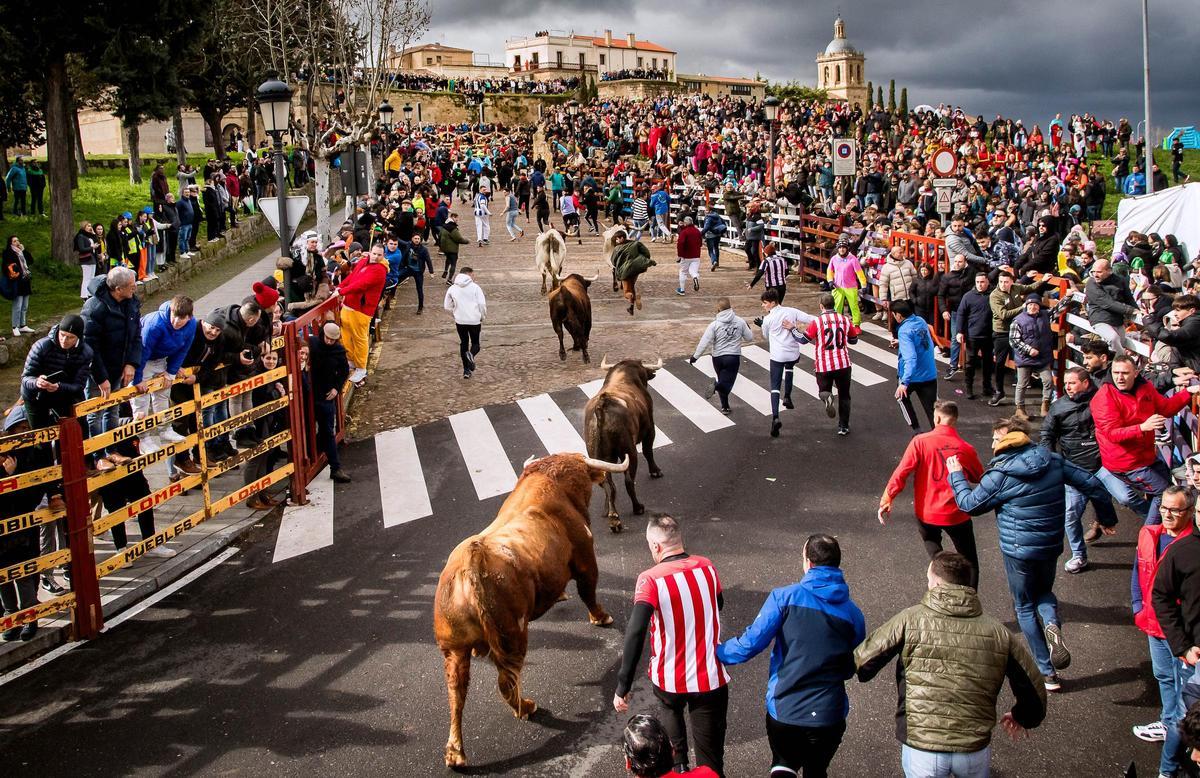 Carnaval del Toro de Ciudad Rodrigo.