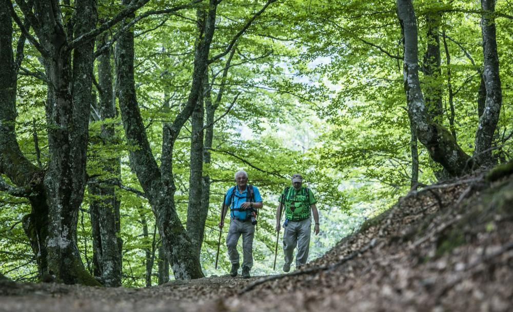 Ruta por Caso: Un tesoro tras la caliza