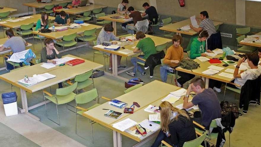 Alumnos estudiando para la selectividad en una biblioteca. // José Lores