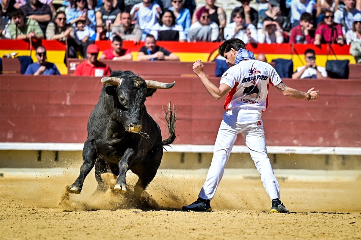 Concurso recortadores
