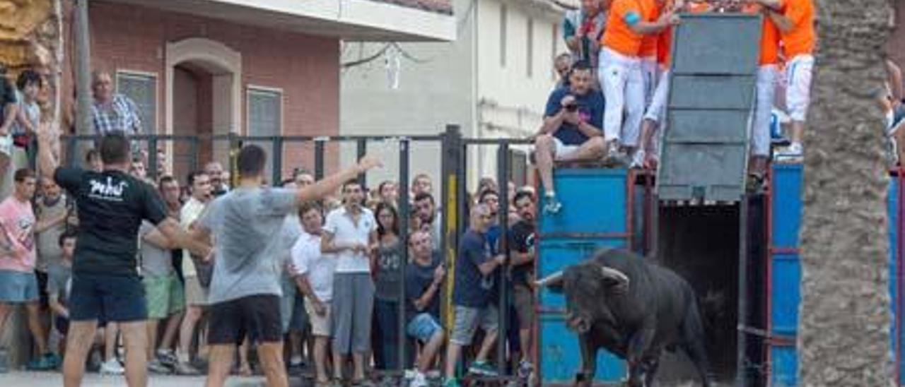 La Paloma gana el concurso de ganaderías más antiguo