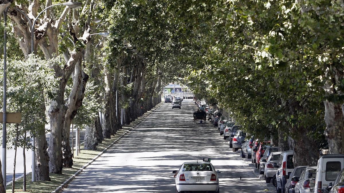 Una de las zonas a soterrar sería el Paseo de los Curas.