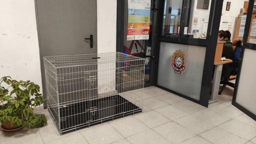 La Policía de Moaña se dota de una jaula para refugiar a las mascotas perdidas