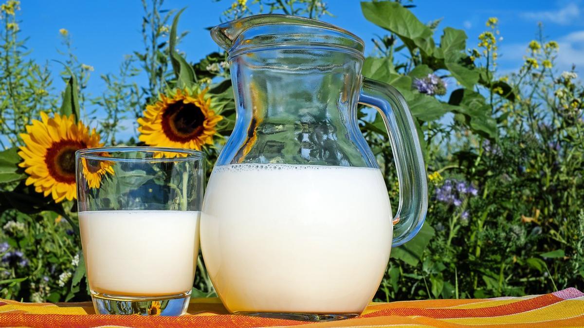 Conozca los beneficios de la leche en polvo