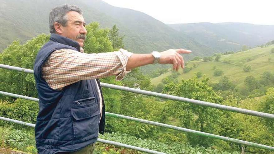 Cándido Vicente Corros señala hacia un prado cercano donde se vio un oso hace poco, en una zona del parque natural de las Fuentes del Narcea. | p.r.