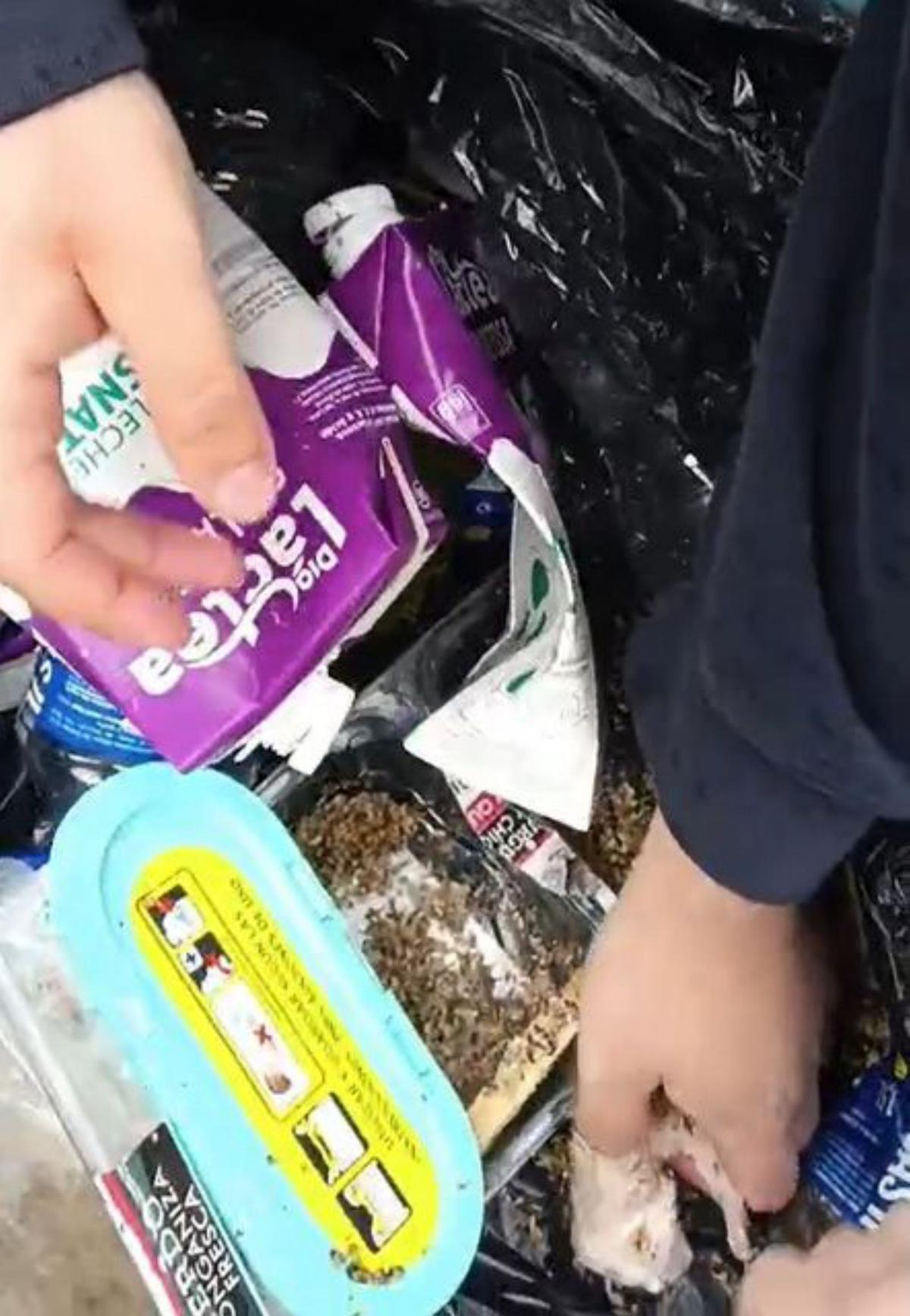 Otra cría en el contenedor.