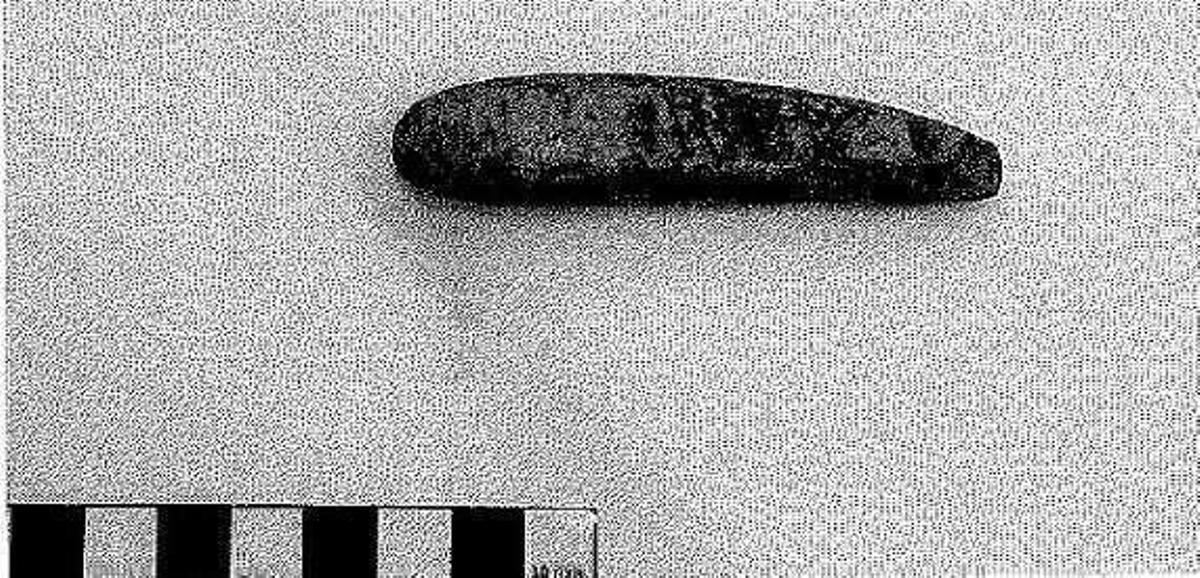 La colección arqueológica hallada en la basura suma 600 piezas de "evidente interés" histórico