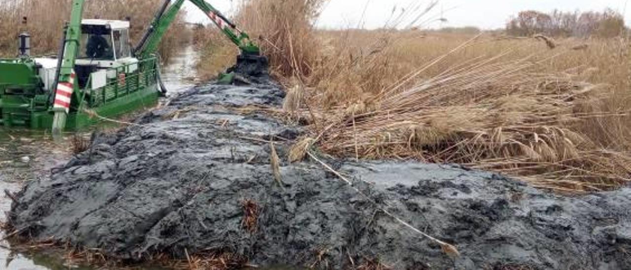 Nuevos dragados en la Albufera