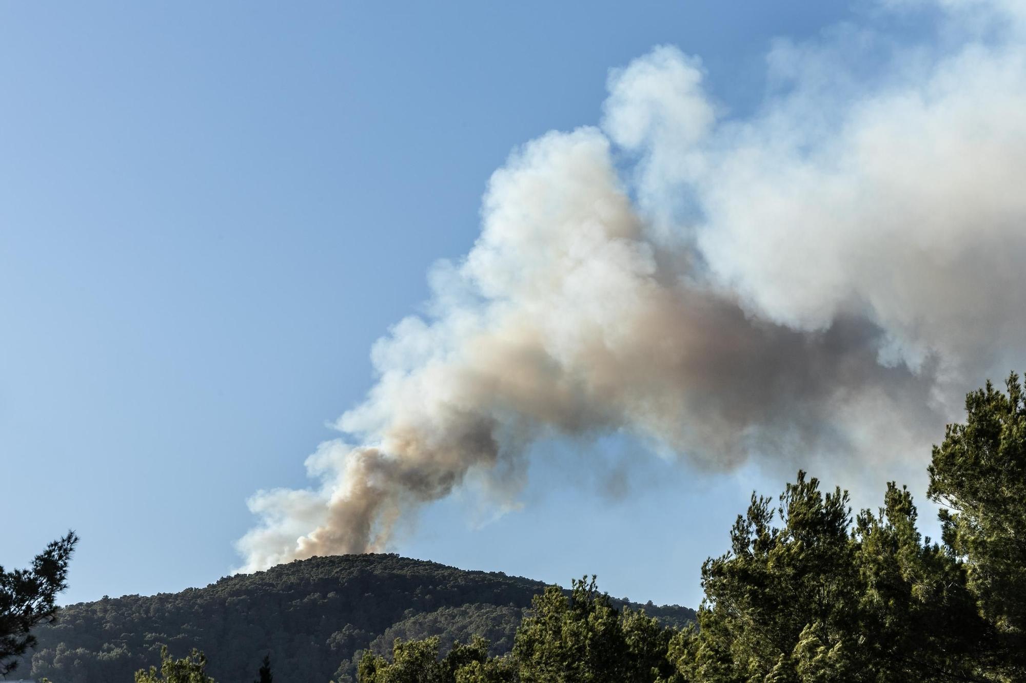 Galería: Imágenes del primer incendio de la temporada