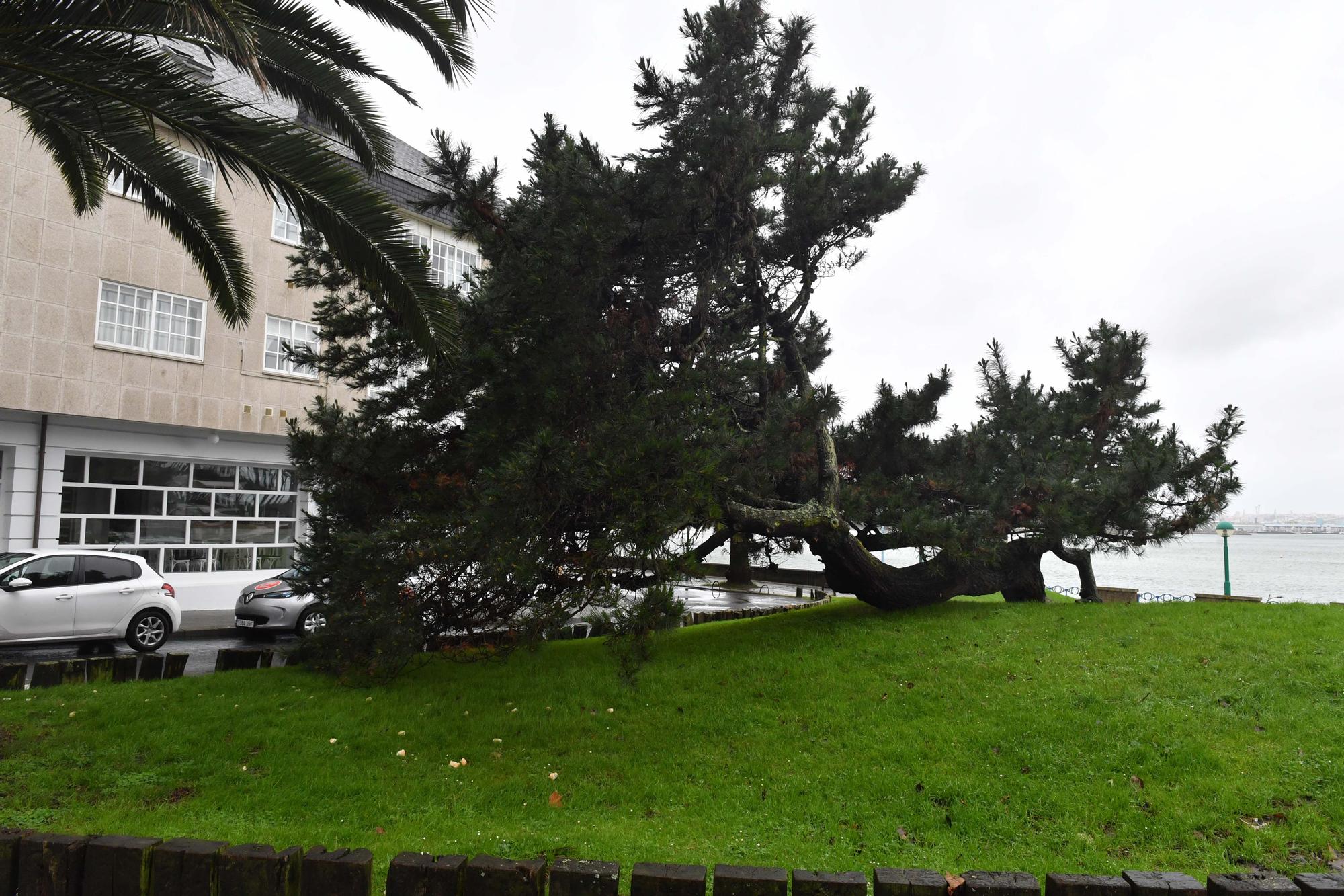 A Coruña se prepara para la alerta roja por olas de más de 8 metros