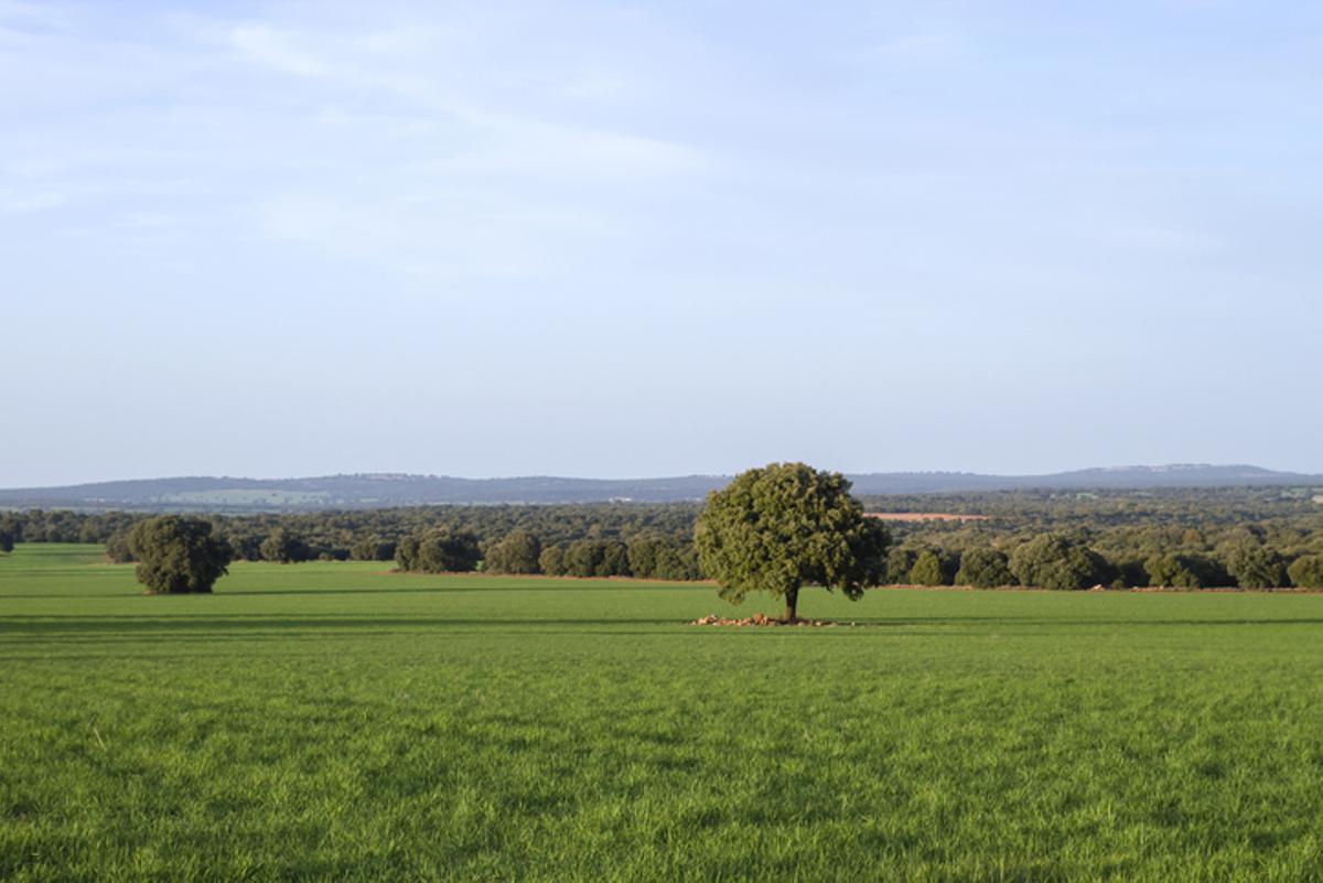 En algún lugar de los campos castellanomanchegos está nuestro pueblo