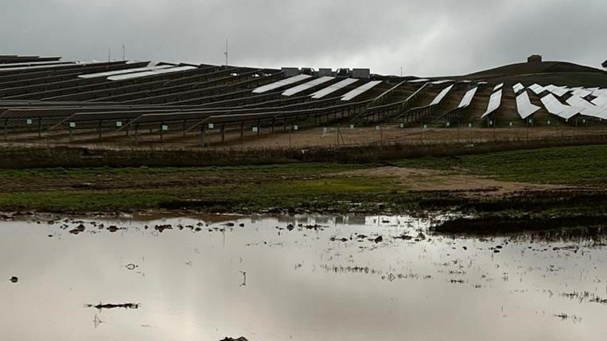 Terrenos anegados junto a una de las plantas solares en construcción en Toro