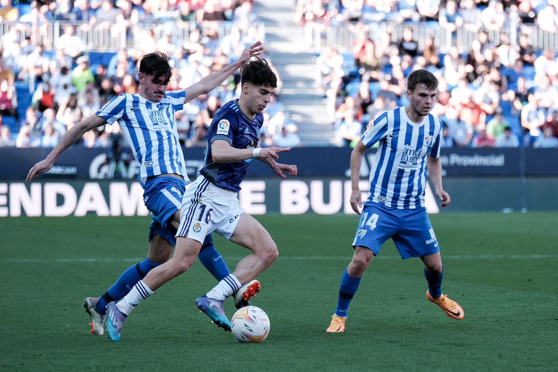 Las imágenes del Málaga CF - Real Valladolid