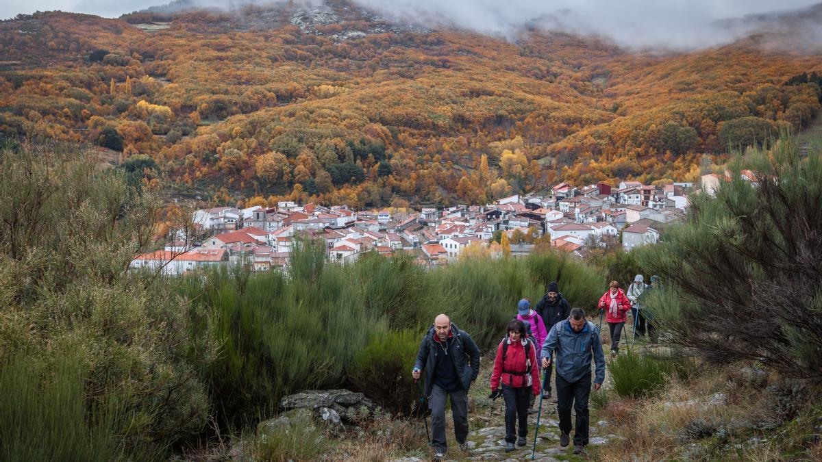 La marcha senderista &#039;Bosques del Ambroz&#039; está prevista para el  domingo 21 de noviembre.