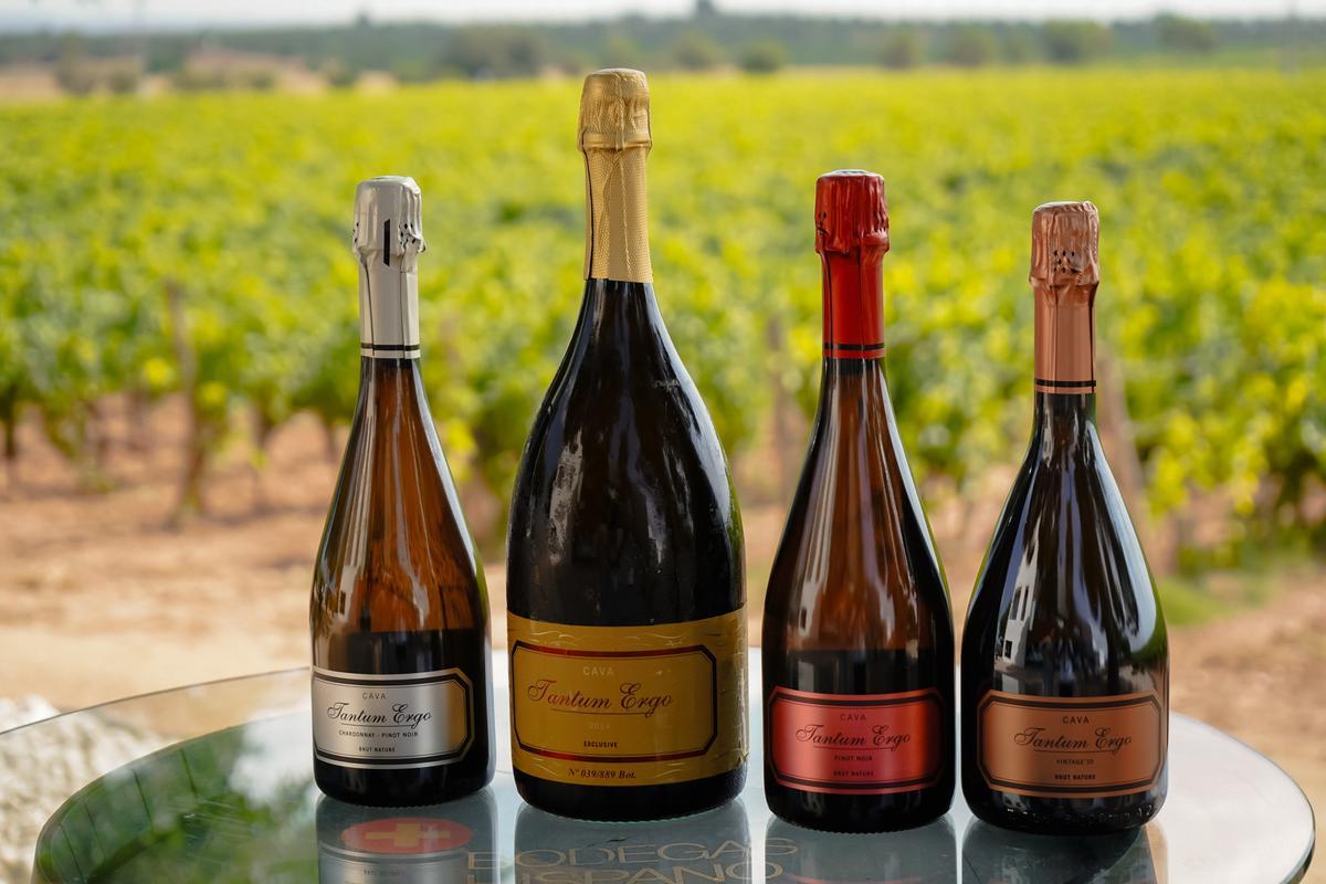 Los cavas que se elaboran en Bodegas Hispano+Suizas se encuentran entre los mejor valorados de toda España.