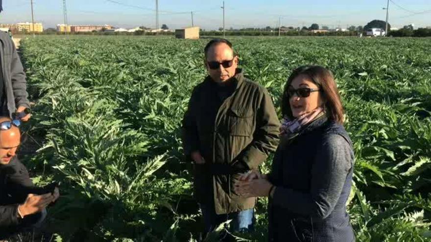 Blogueros como embajadores de la alcachofa