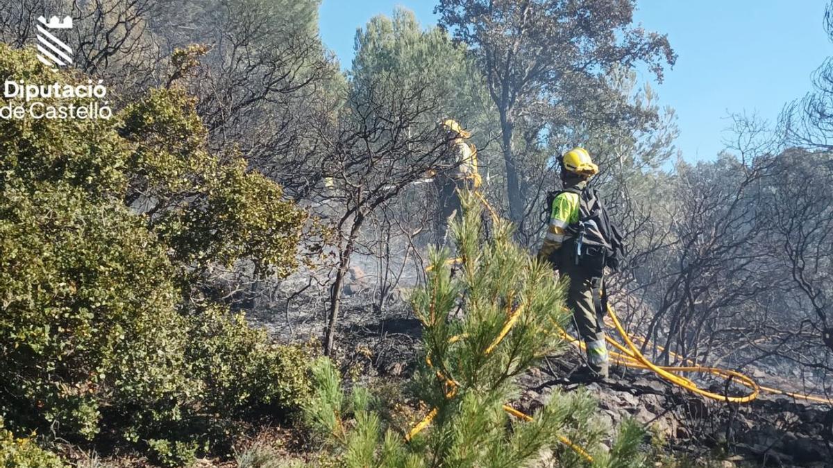 Dos bomberos forestales trabajan en la extinción del fuego forestal de Atzeneta.