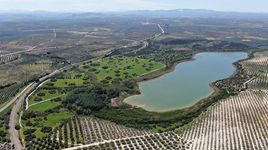 La Junta actualiza la normativa de ordenación de los Humedales del Sur de Córdoba