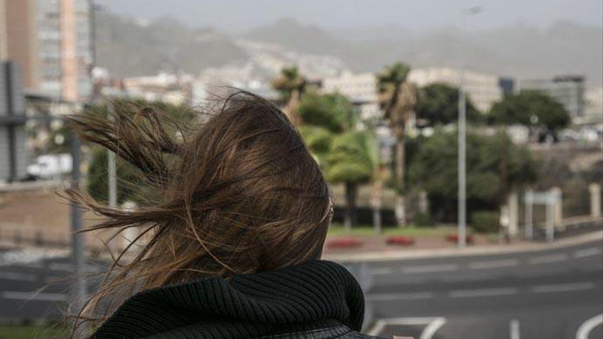 Fuertes rachas de viento en la capital tinerfeña.