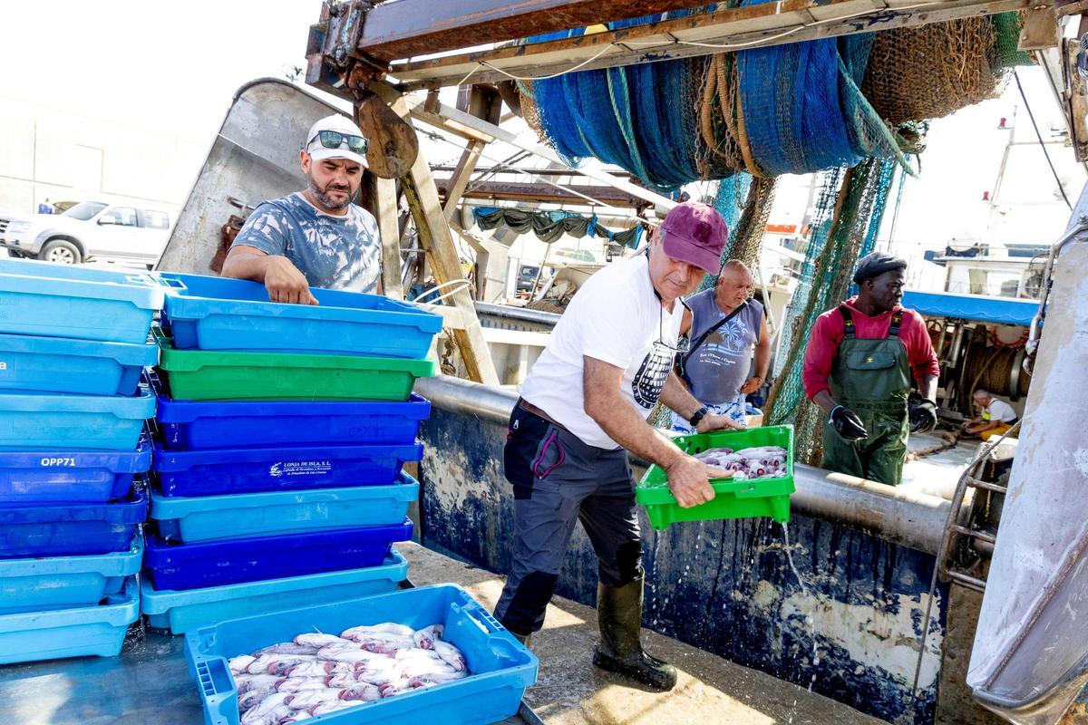 Pescadores trabajando en el puerto de la Vila Joiosa.