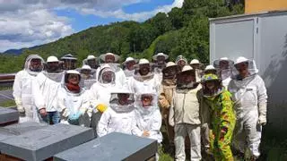 Seis apicultores ibicencos en un viaje de formación a Euskadi