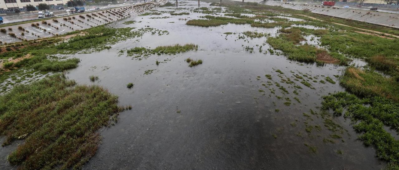 El nuevo cauce del Turia a su paso por València