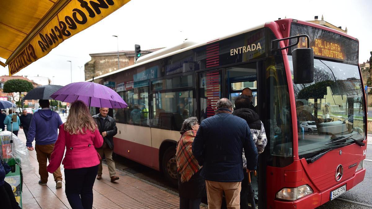Vídeo | Balance del servicio de autobús urbano en 2025