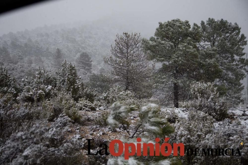 Nieva en las pedanías altas de la comarca del Noro