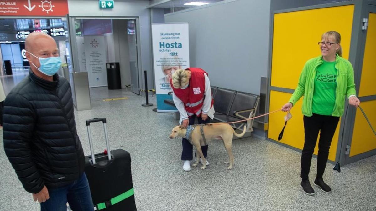El aeropuerto de Helsinki prueba perros adiestrados para detectar coronavirus