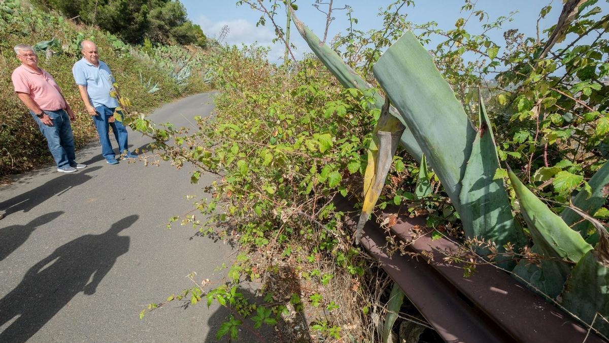 Vecinos denuncian el abandono del tramo carretero que va de Llanos María Rivera a La Milagrosa