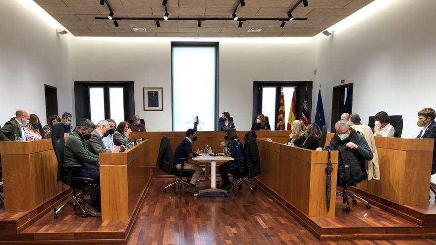 El Ayuntamiento de Ibiza afirma que “no hay un aumento de ratas y cucarachas”, plagas con las que hay que aprender “a convivir”