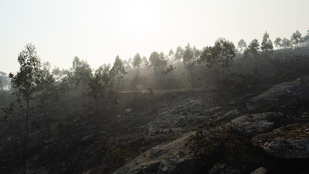 Paraje arrasado en el incendio de Boiro.