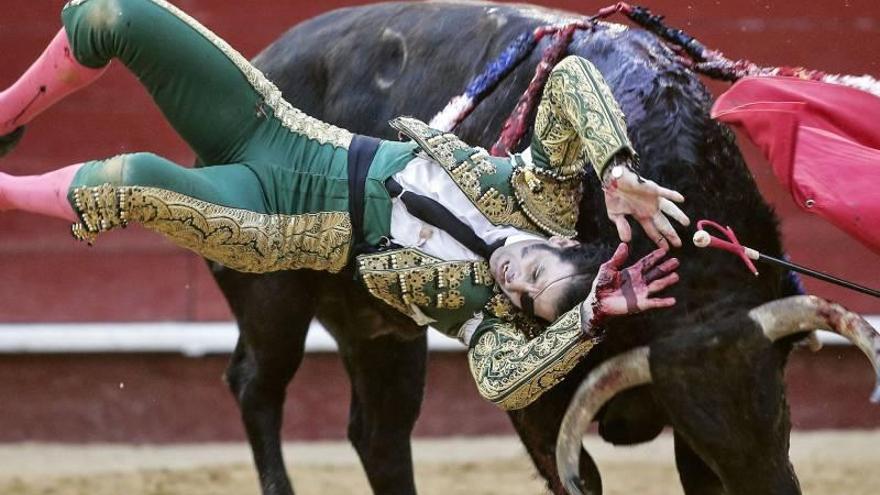 Padilla sí podrá torear en Castellón