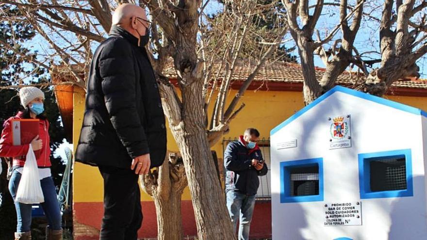 Instalan casas para controlar y proteger las colonias de gatos en Los Urrutias