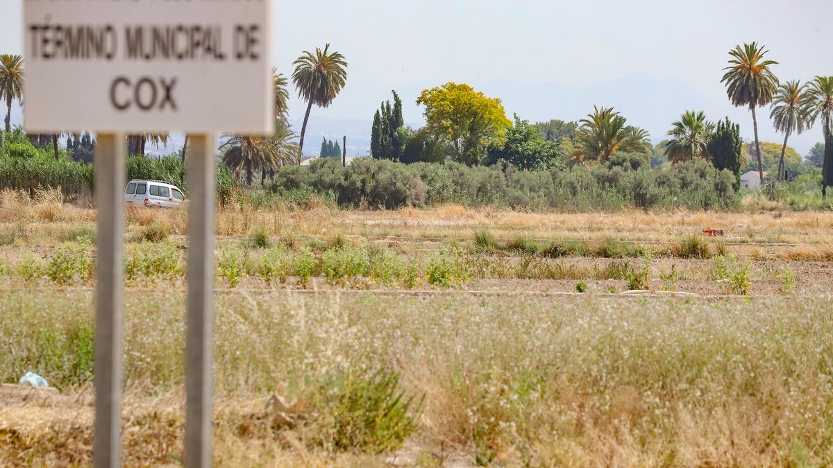 Terrenos agrícolas abandonados