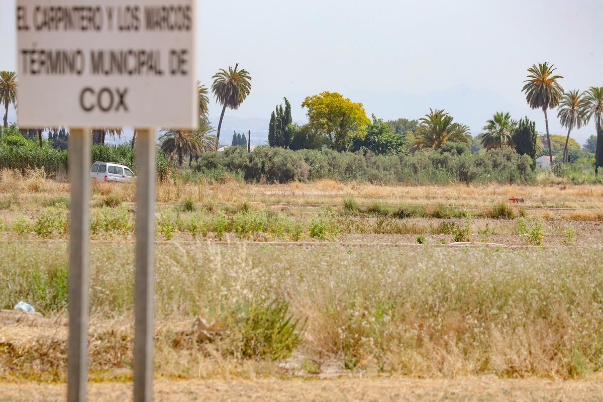 Terrenos agrícolas abandonados