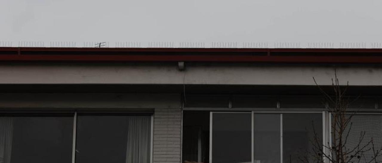 Comunidades de vecinos ponen pinchos en las azoteas para “espantar” a gaviotas y palomas.