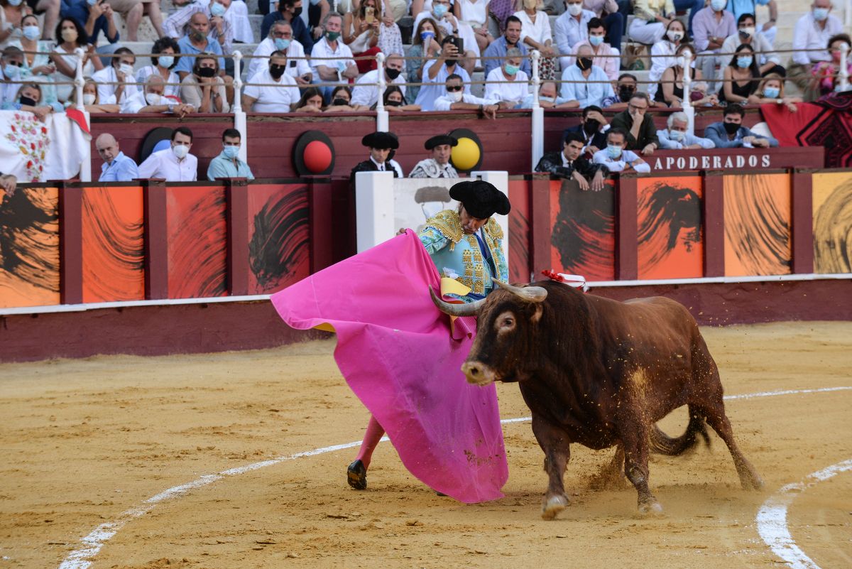 Los toros vuelven a La Malagueta