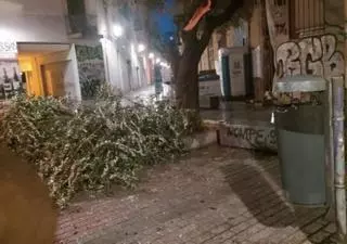 Los 75 l/m2 de València tiran árboles y afectan al metro