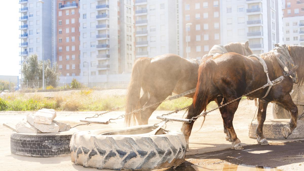 Fotografía de Ricardo Cases incluida en la muestra