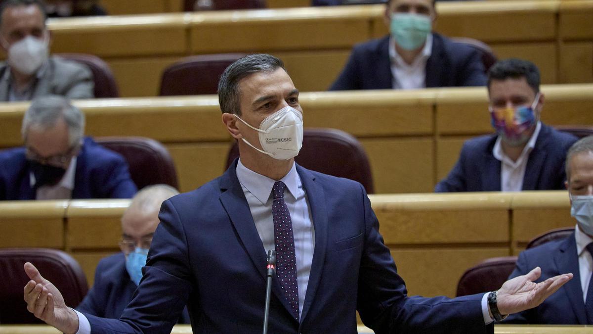 Pedro Sánchez, en el Senado.