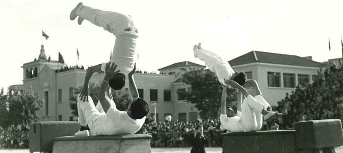 Escuela Franco-IES La Rosaleda: 70 años de la mejor formación profesional