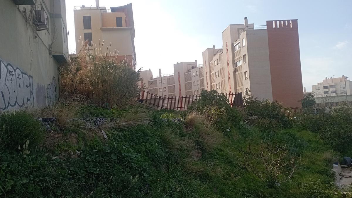 Los restos de la calle Caída de Monte Pavero, al pie del desnivel, con el solar con plantas delante.