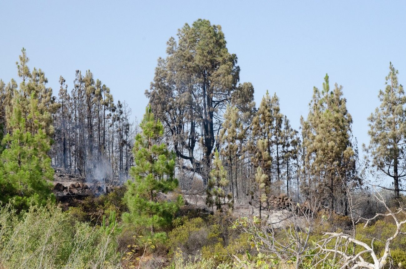 El incendio de La Palma pasa a nivel 2 y se desaloja por precaución a decenas de vecinos