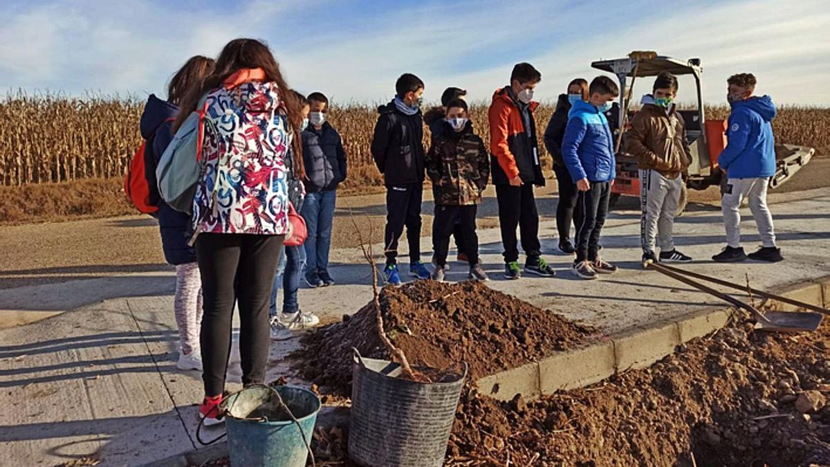 Alumnos participantes en la iniciativa realizada ayer en el paseo de San Cristóbal. | E. P.