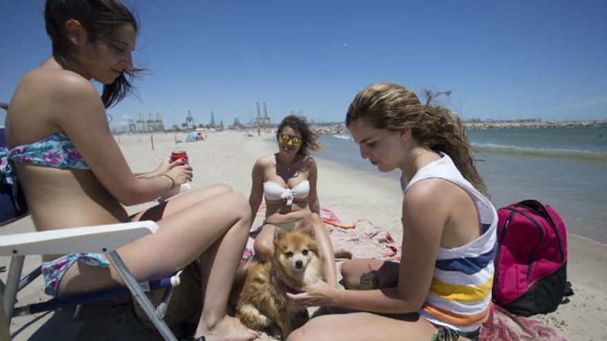 Playas que admiten perros en Castellón.