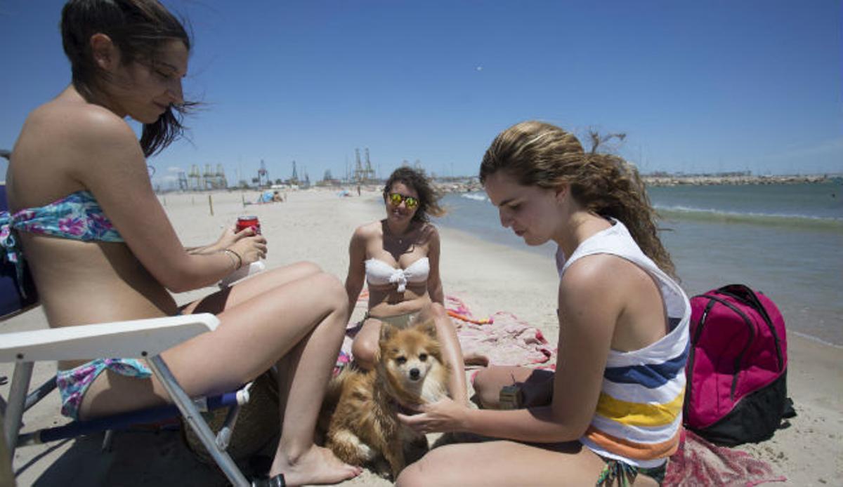 Las playas de la Comunitat que admiten perros