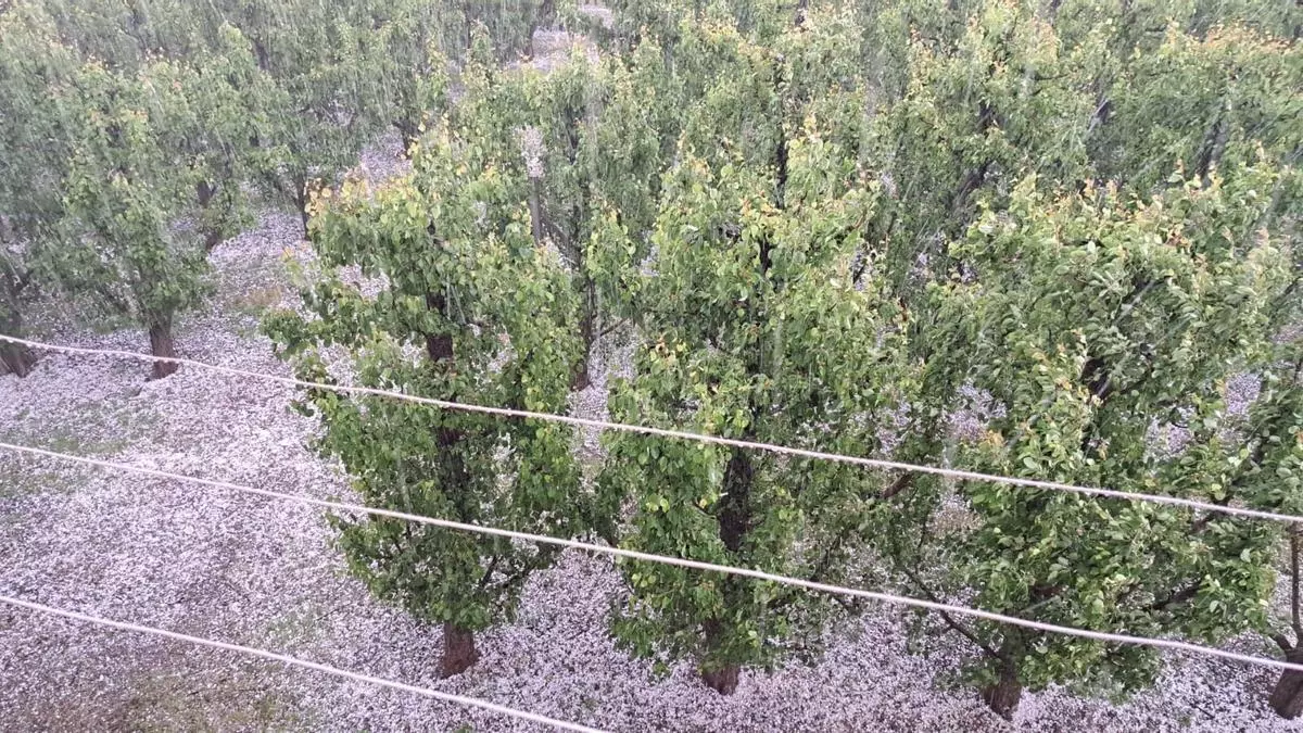 Una intensa granizada azota Lleida y daña 50.000 hectáreas de cultivos