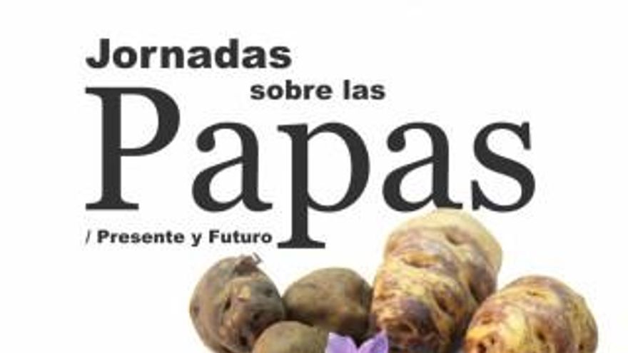 Jornada de la Papa